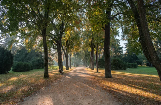 Eine nachhaltige Ausrichtung ist seit vielen Jahren ein zentraler Punkt des Geschäftsmodelles der BKB.