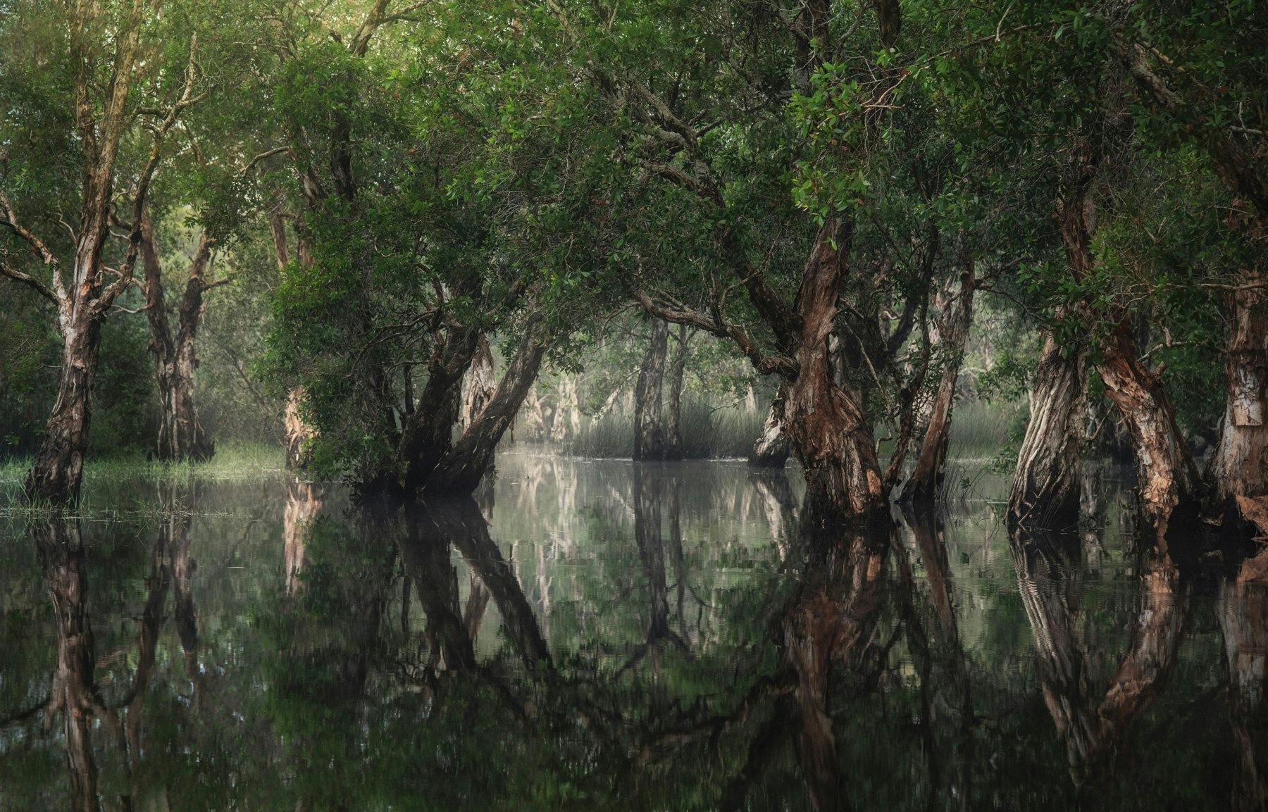 Auf den Erlebnisreisen in die Natur der Region Rayong entdeckt man eine andere Seite von Thailand.