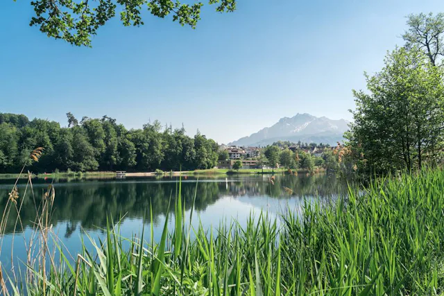 Der Rotsee ist ein Naherholungsgebiet vor den Toren Luzerns. Auf den sieben Kilometern rund um den See gibt es viel zu entdecken. Die Fahrt mit der Rotseefähre «Libelle» verkürzt den Weg und ist ein Highlight für die Kinder. www.rotsee.lu