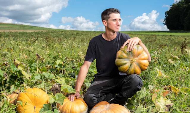 Kürbisproduzent mit Leib und Seele: Patrick Mäder.