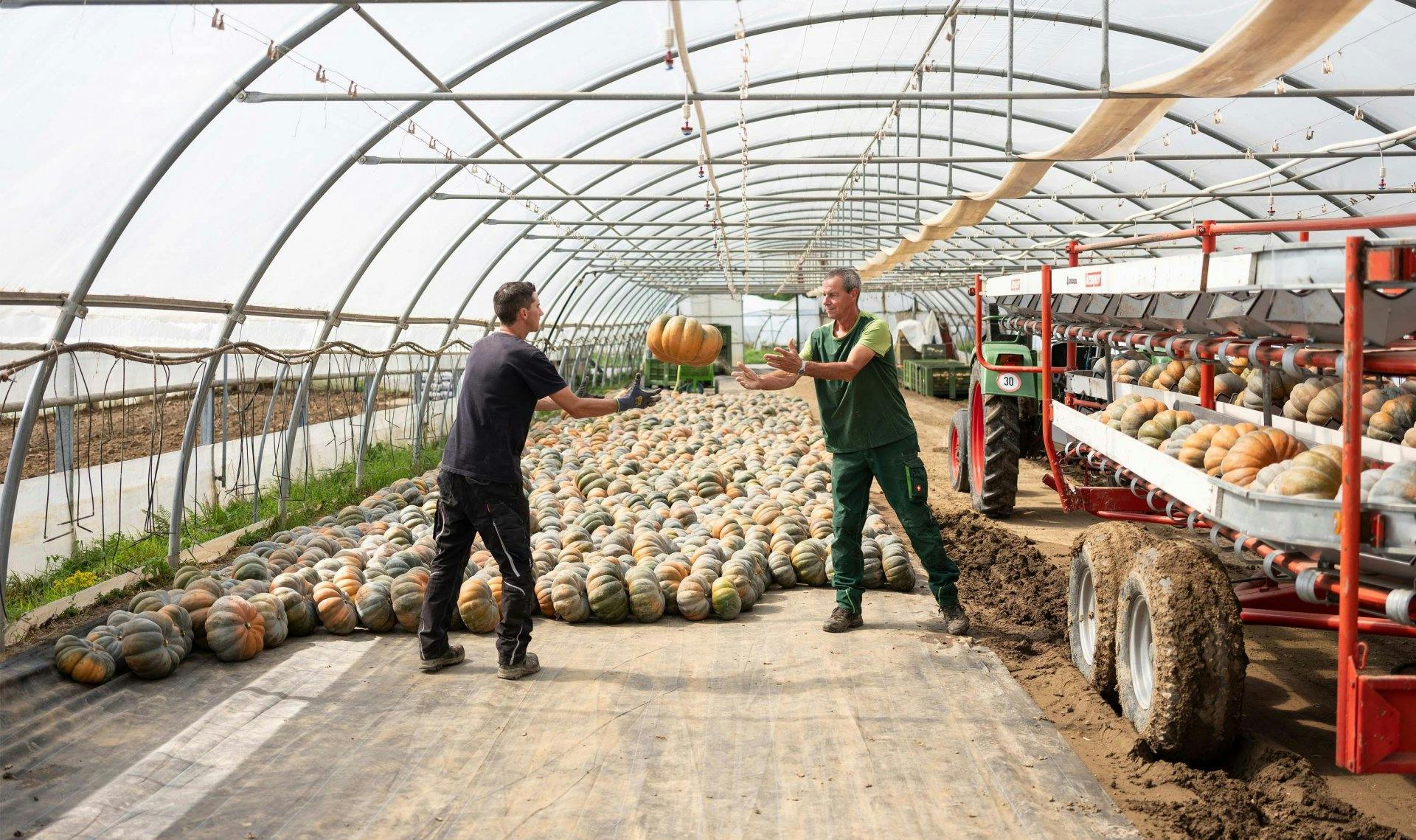 Gemeinsam mit seinem Vater packt Patrick Mäder kräftig an.