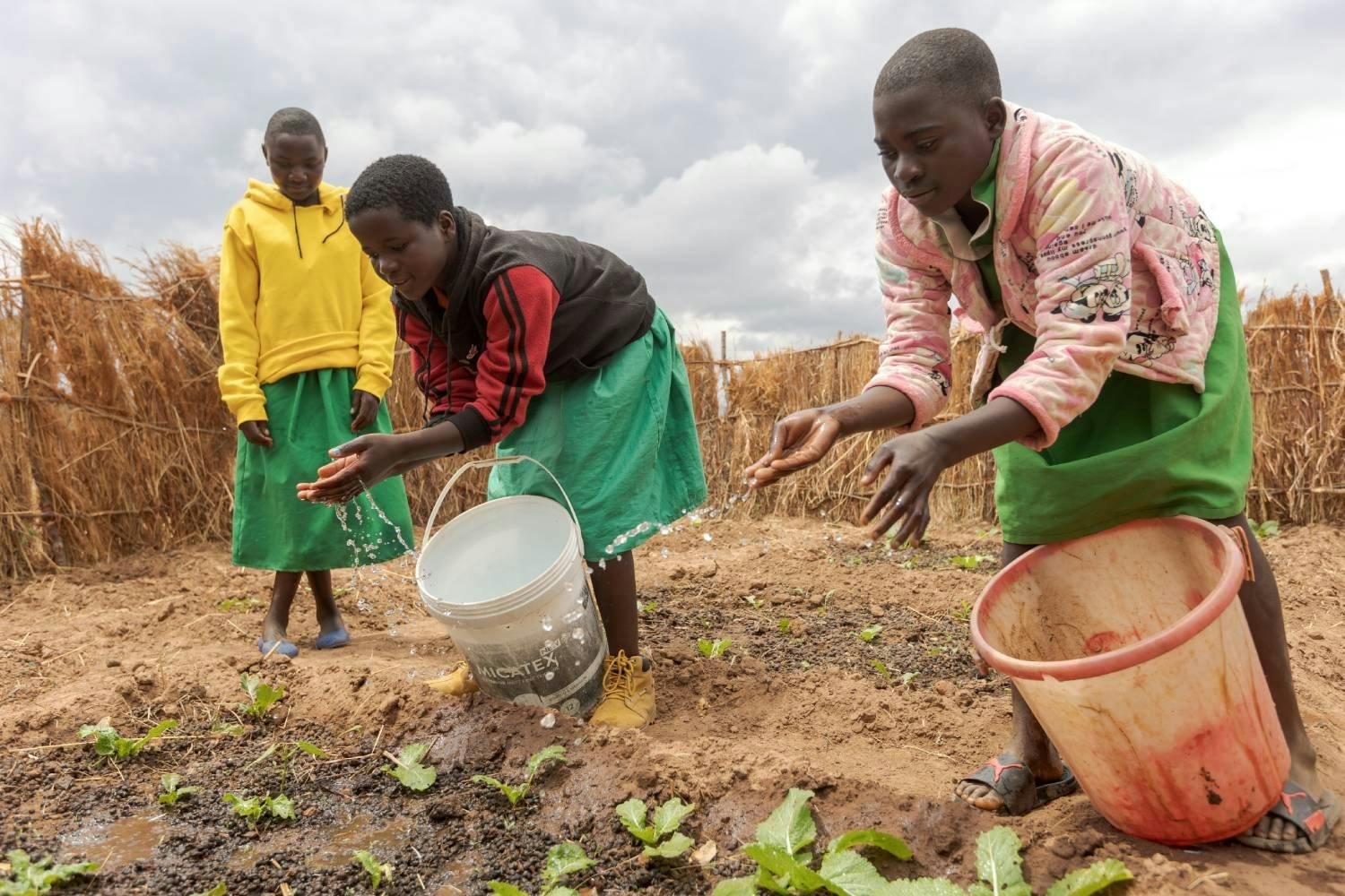Sparsam bewässern die Schülerinnen das Gemüse. Die Erzeugnisse aus den Schulgärten versorgen die Kinder mit wichtigen Vitaminen.