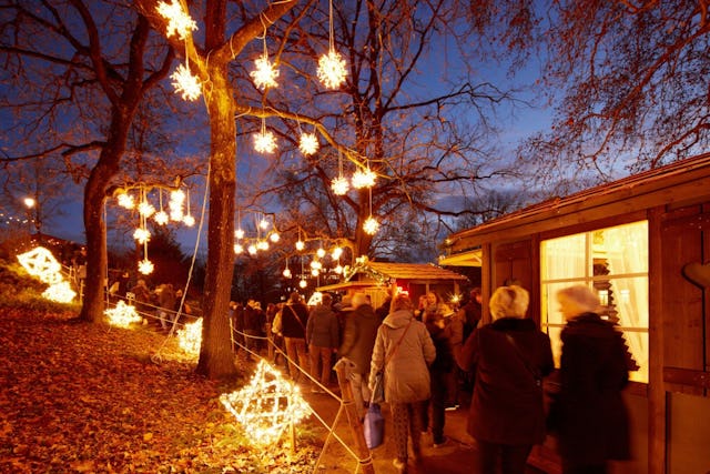 Der Berner Sternenmarkt beweist: So schön kann Festtagsstimmung sein.