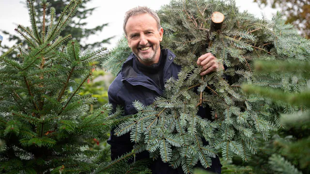 Baumkulturen an verschiedenen Orten minimiert das Risiko für Wetterschäden.